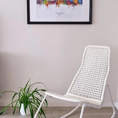 Daire Two Bedrooms Modern Close To Tram Toulouse